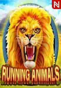 Running Animals