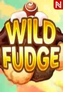 Wild Fudge