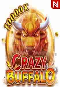 CRAZY BUFFALO